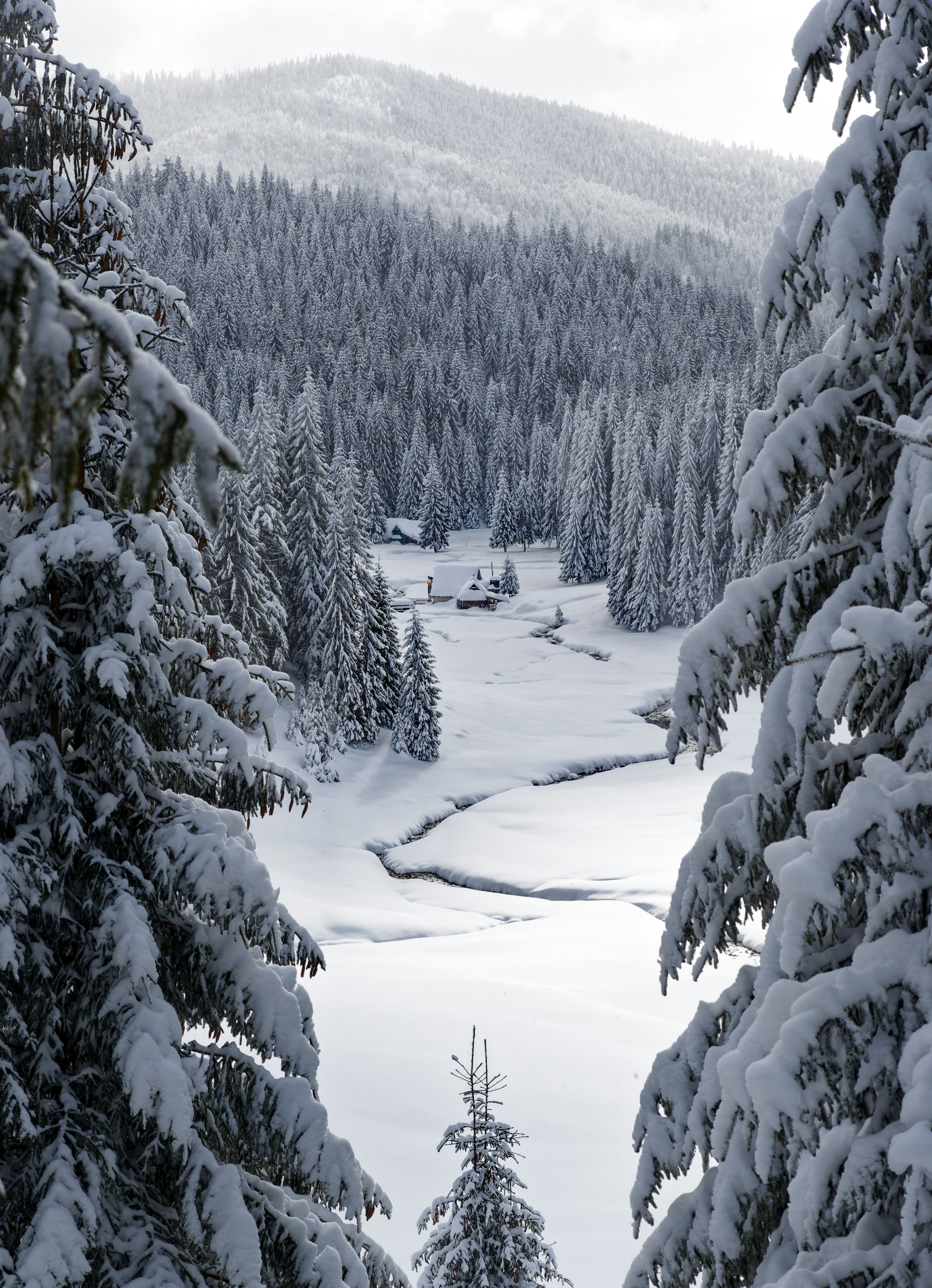 Photo by illes_cristi