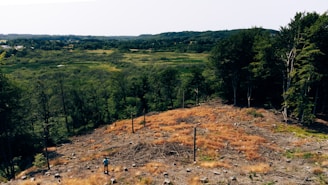 a person standing on top of a hill near a forest