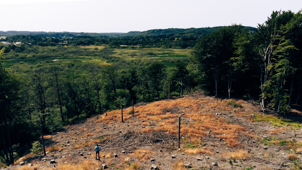 a person standing on top of a hill near a forest