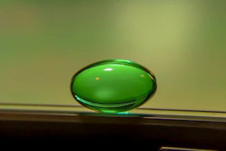 Vibrant green gel polish with glossy finish complementing the verdant theme of the salon.