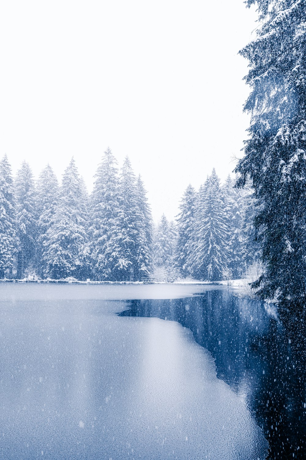 a lake surrounded by trees covered in snow