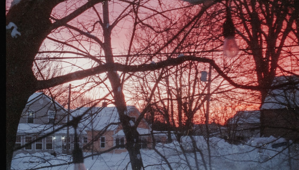 the sun is setting over a snowy neighborhood