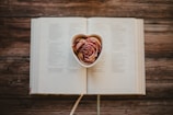an open book with a heart shaped cut out of it