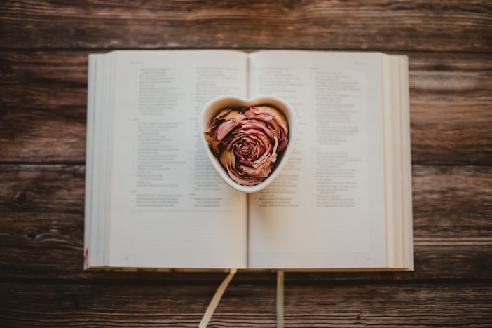 an open book with a heart shaped cut out of it