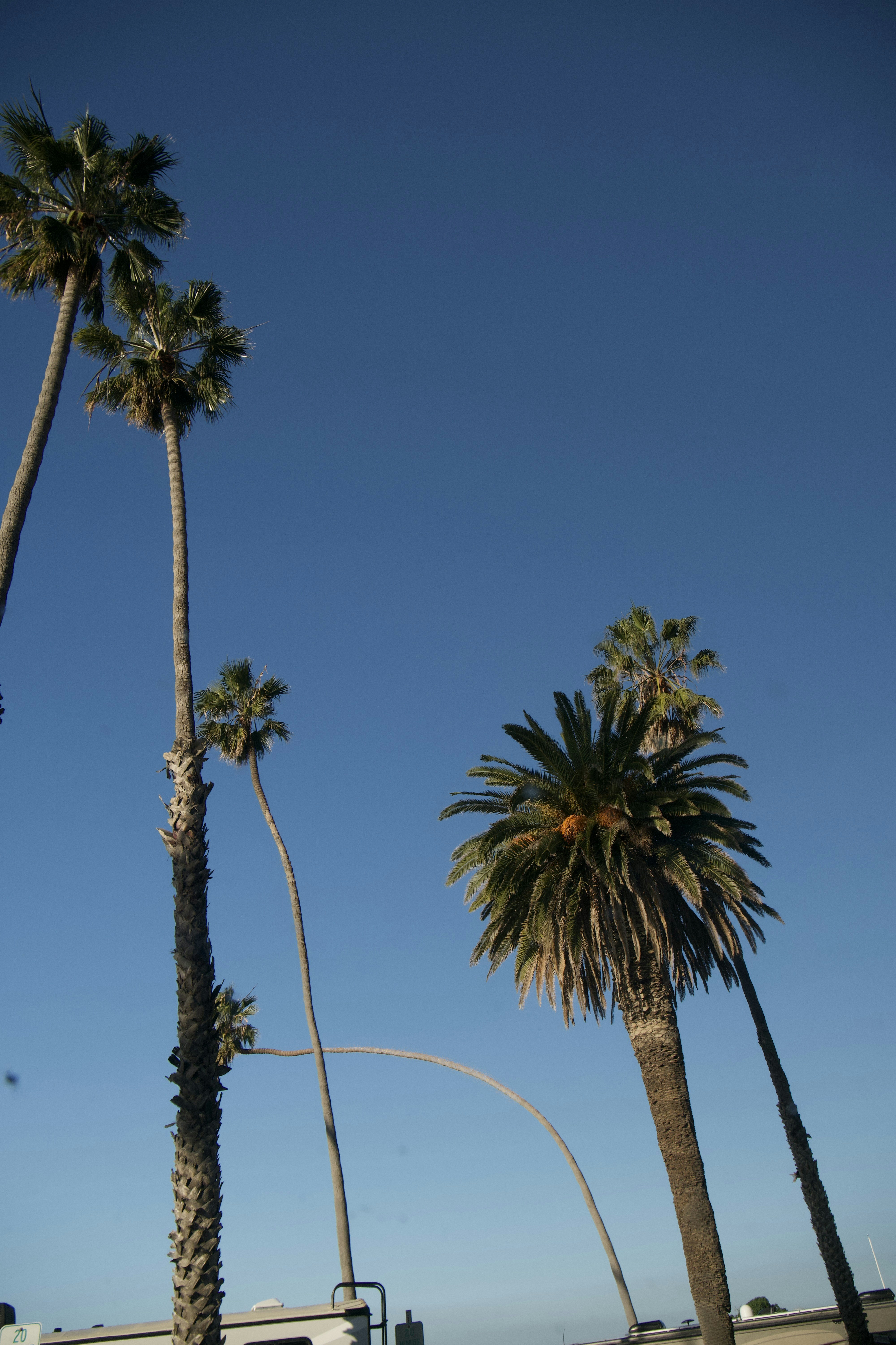 photo-1676047380675-01eb854e755e?ixid=M3