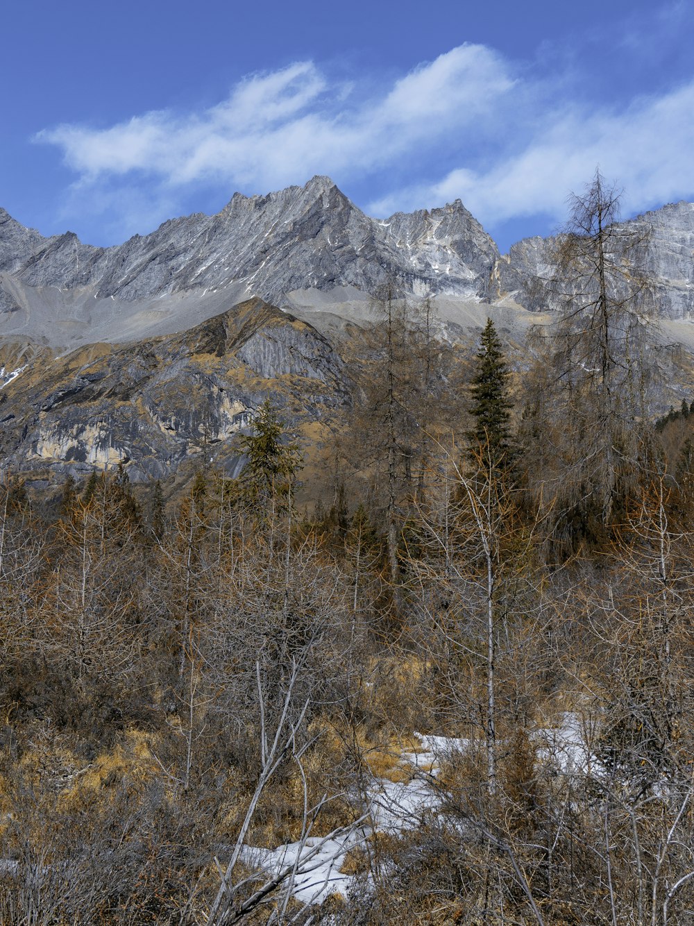 a view of a mountain range with trees in the foreground