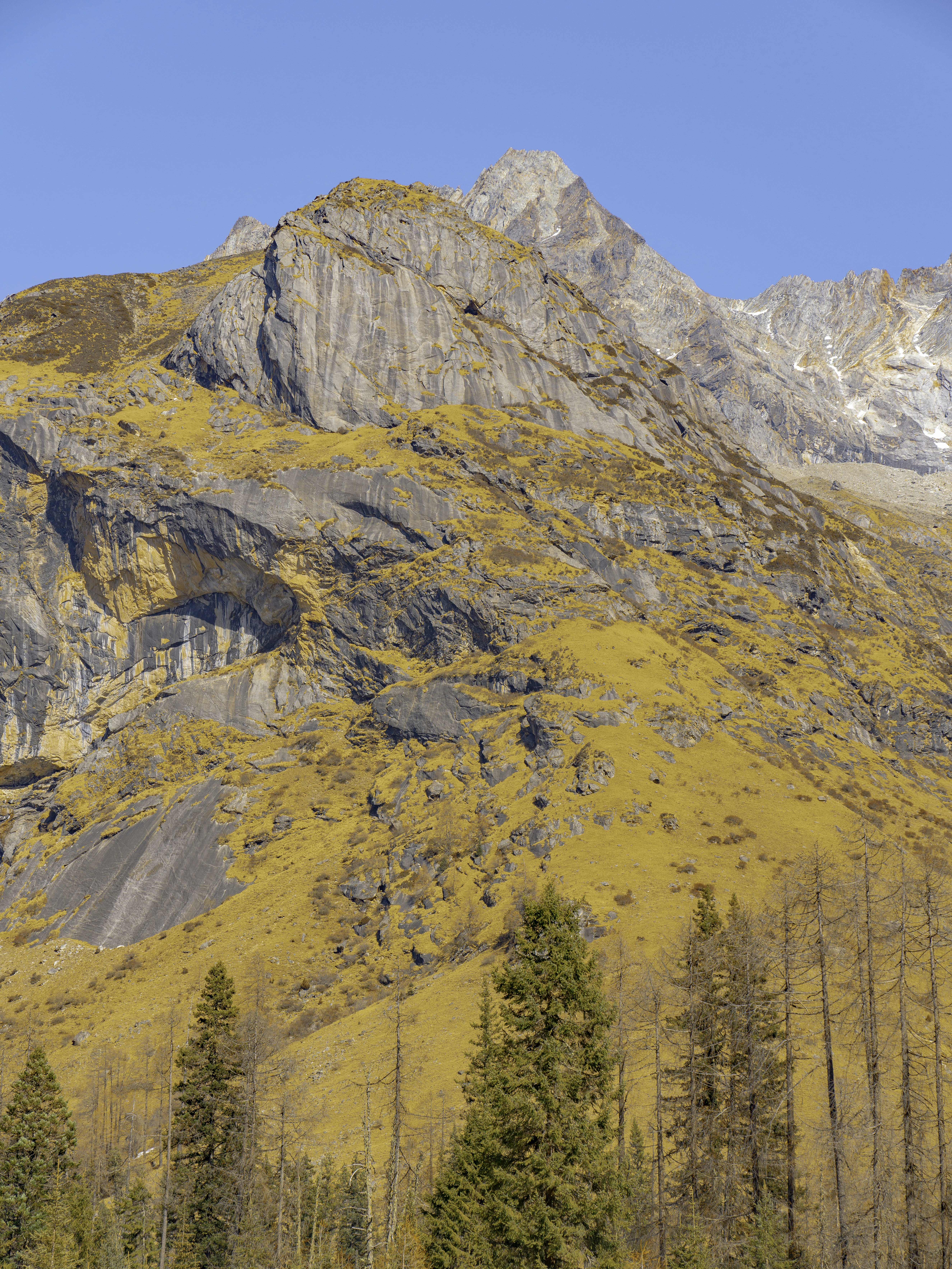 a mountain with a few trees in front of it