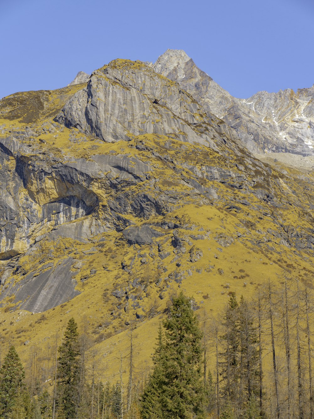 a mountain with a few trees in front of it