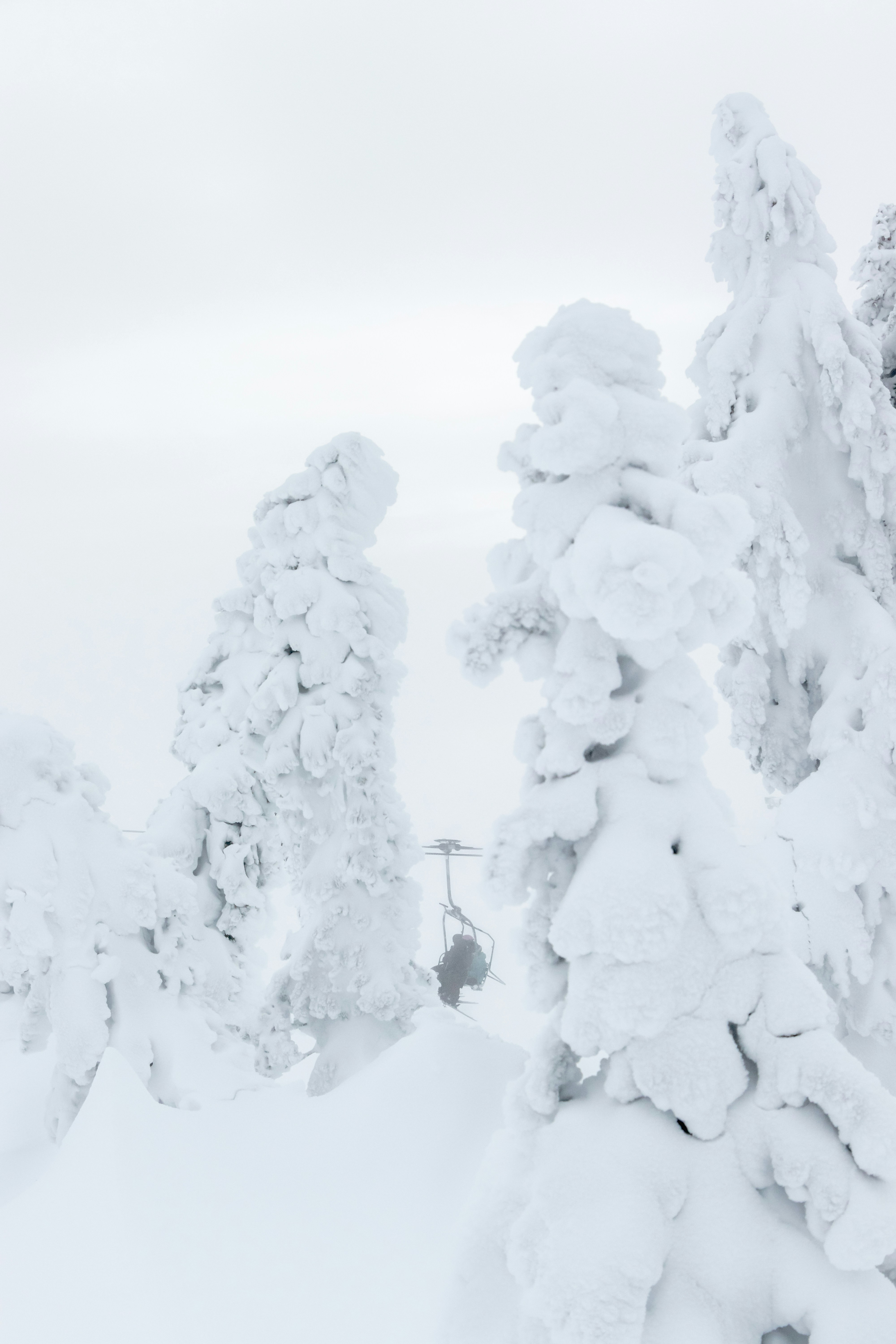 Photo by greg_rosenke