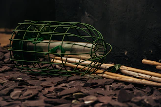 Side view of a wall-mounted PVC half-pipe feeder raised about six inches inside an elevated cage.