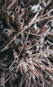 a close up of a bunch of sticks and needles