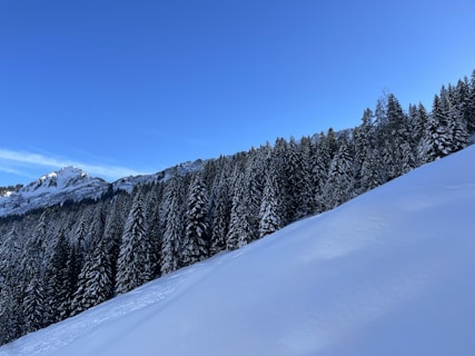 a snow covered hill with trees and mountains in the background