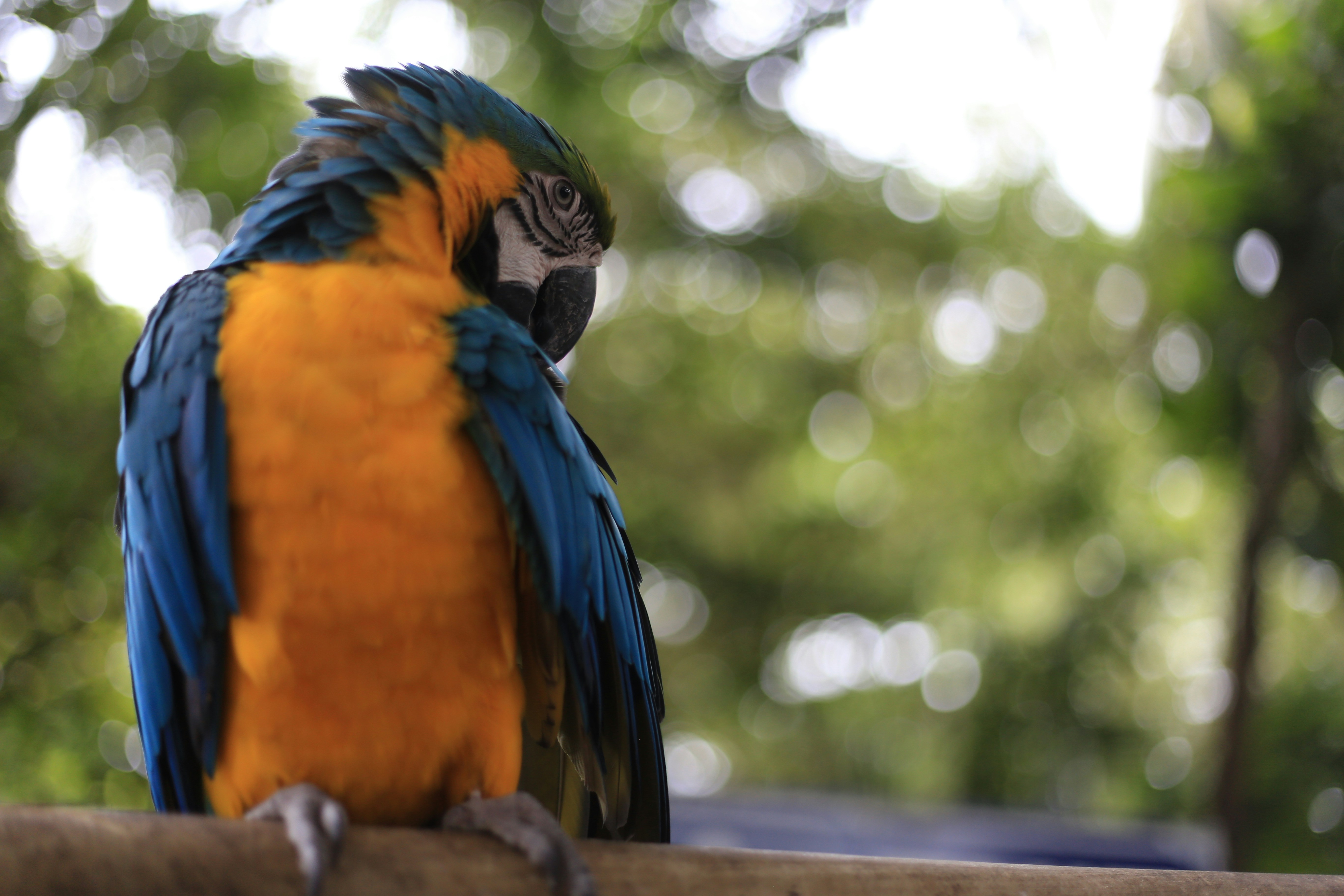 Photo by ricardookami