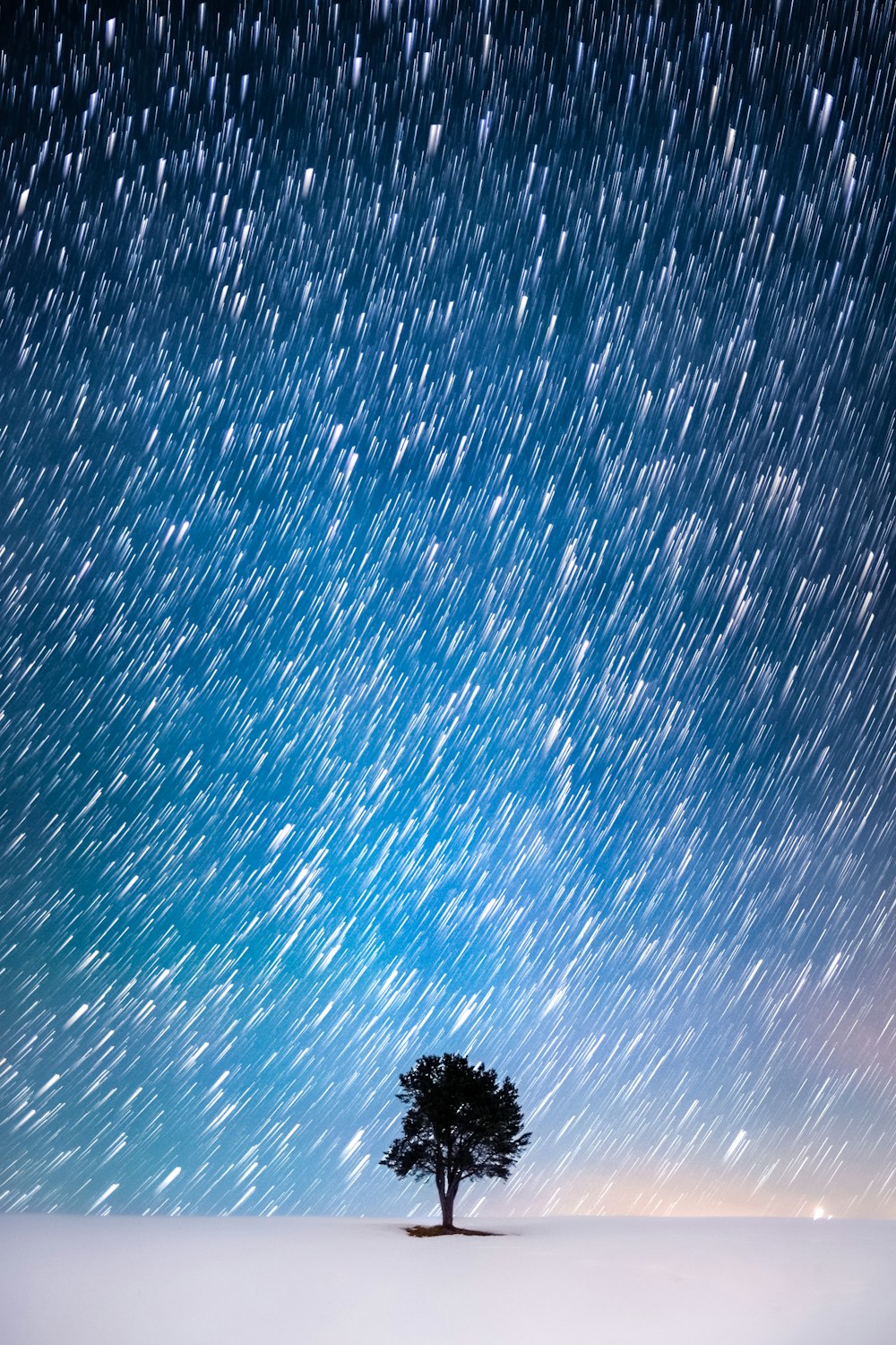 a lone tree in the middle of a snow covered field