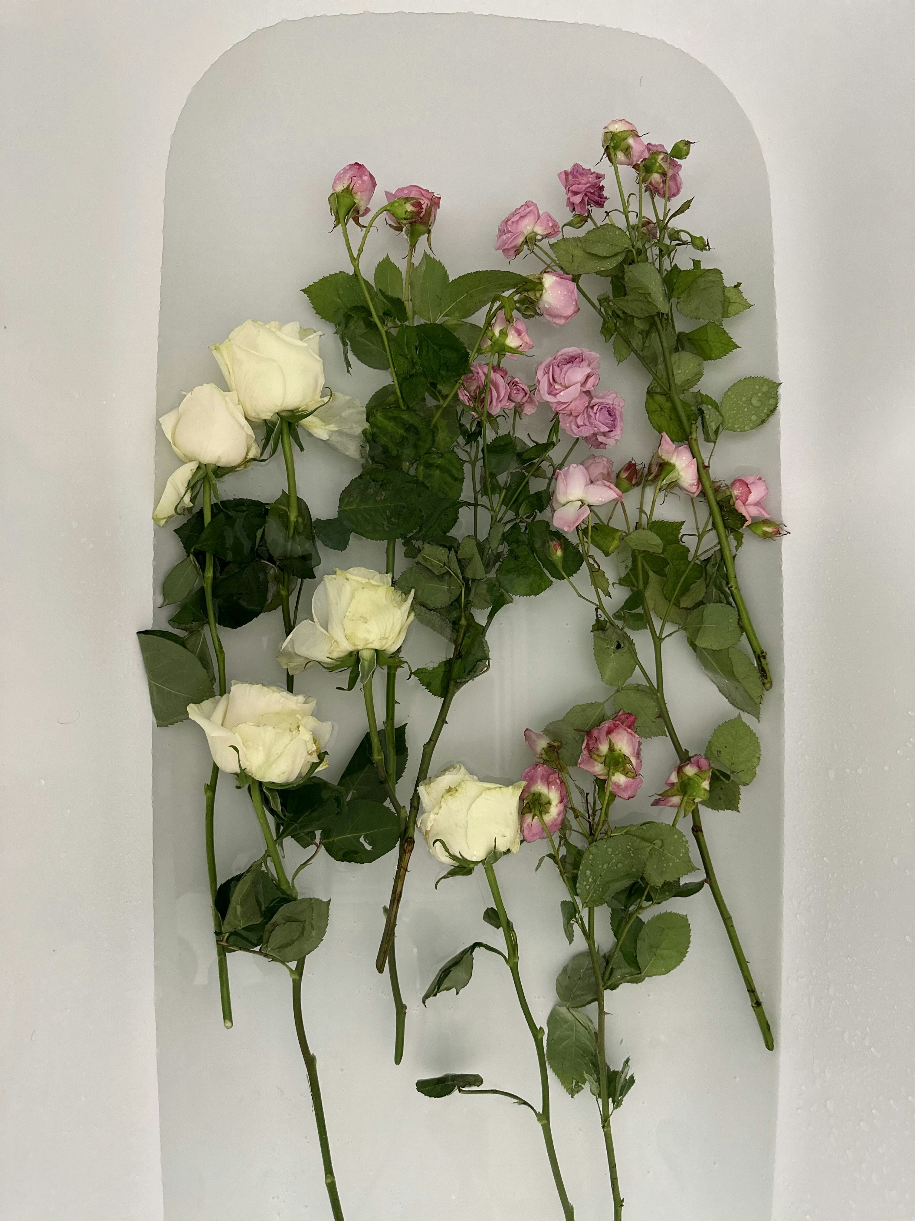a bunch of white and pink flowers on a white surface