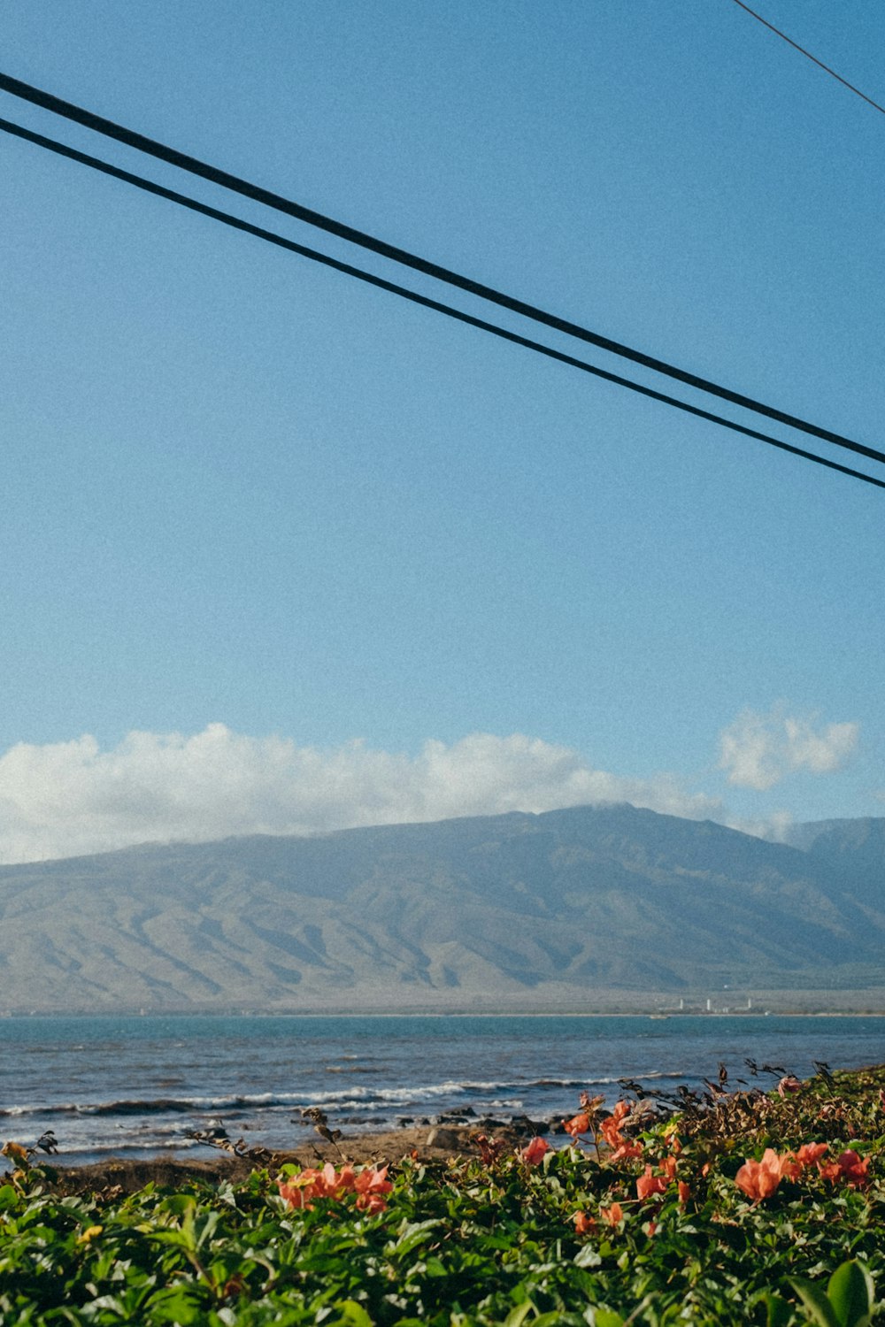 a view of a body of water with a mountain in the background