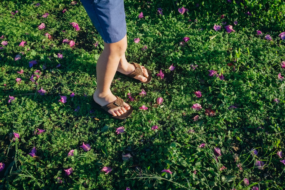 a person standing in a field of purple flowers