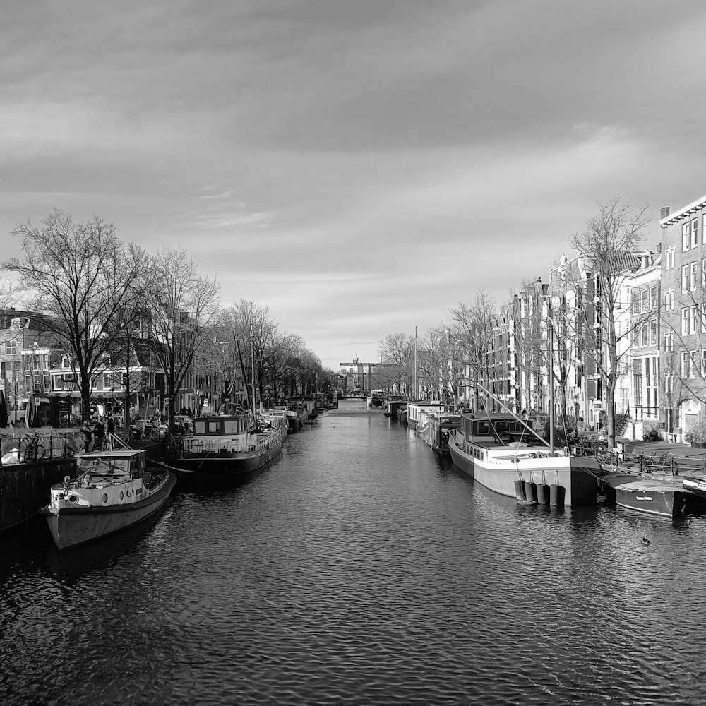 Una foto in bianco e nero di un canale in una città