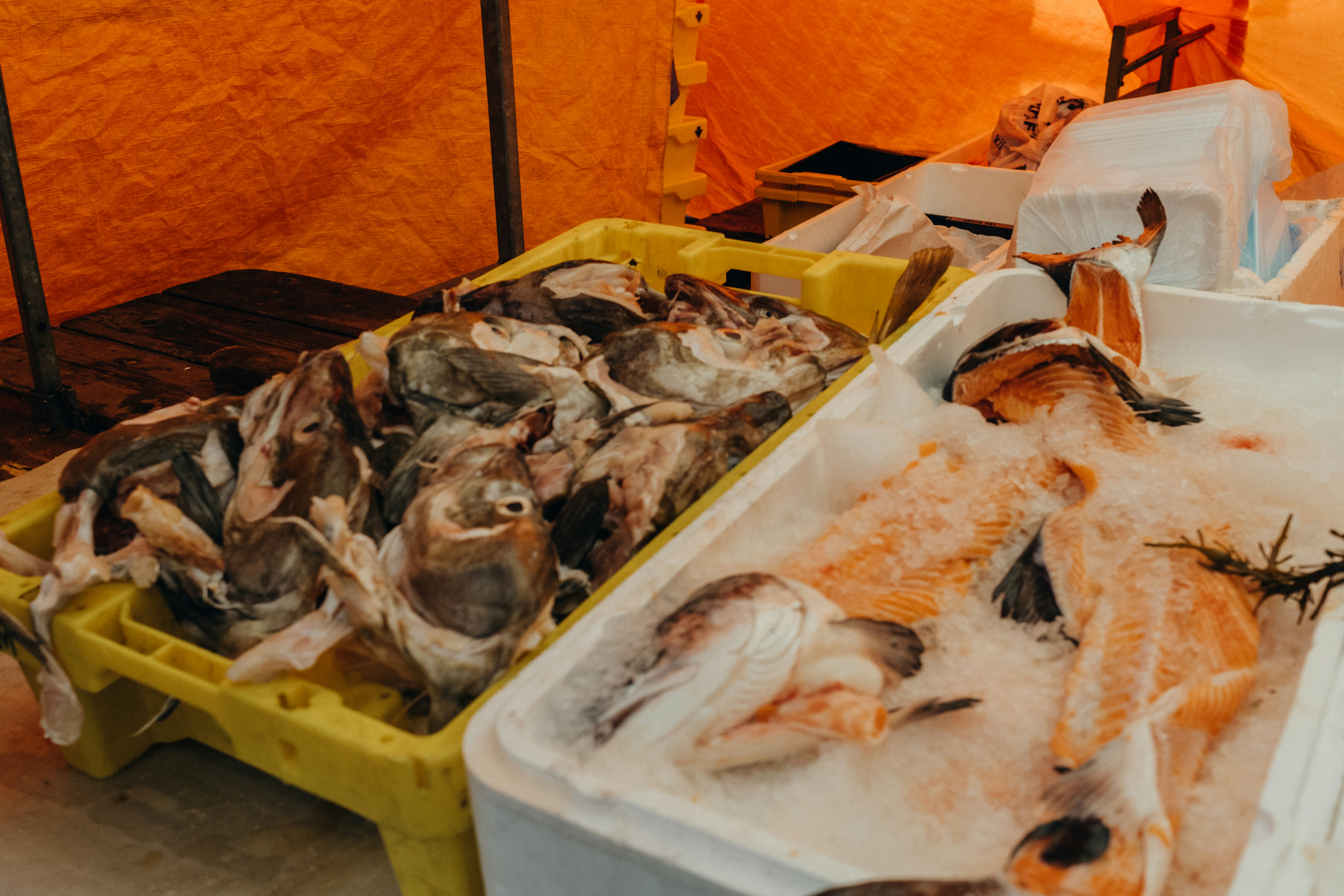 Sustainable Seafood Subscription Box