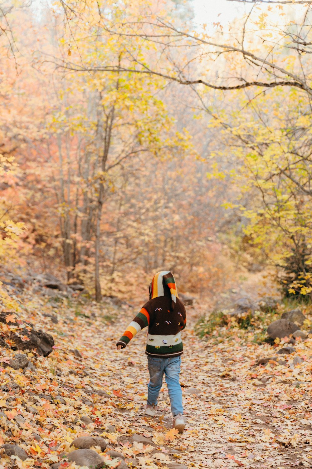 a little boy walking down a leaf covered path