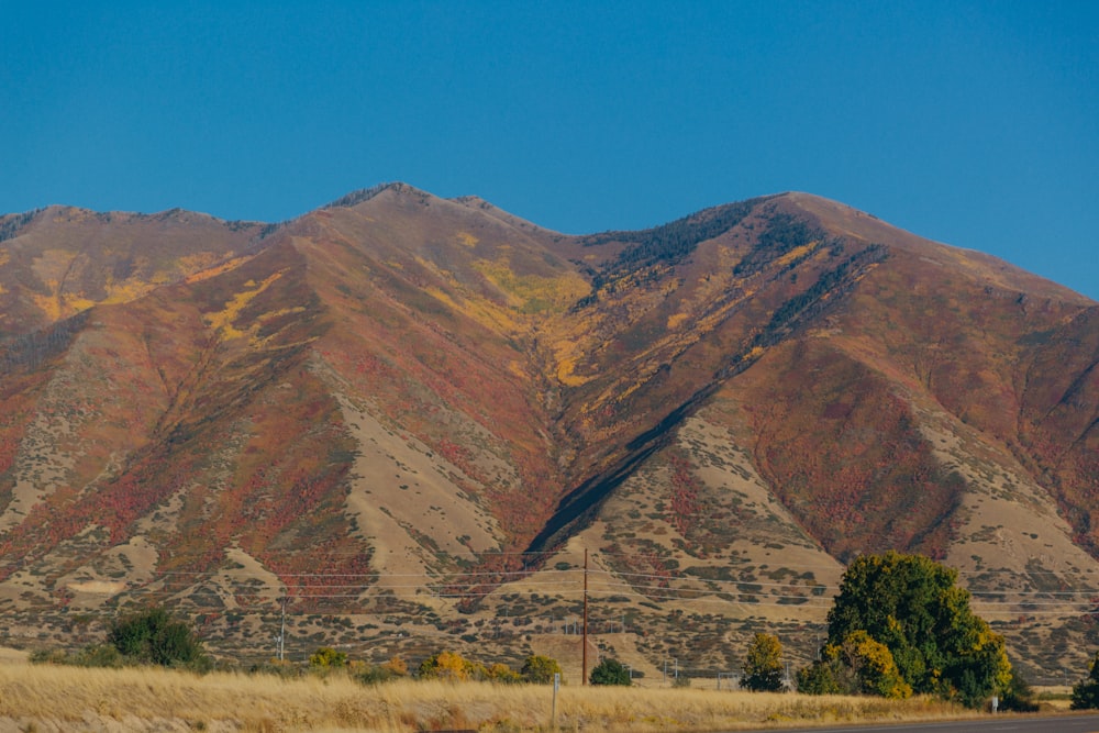 the mountains are brown and brown in color
