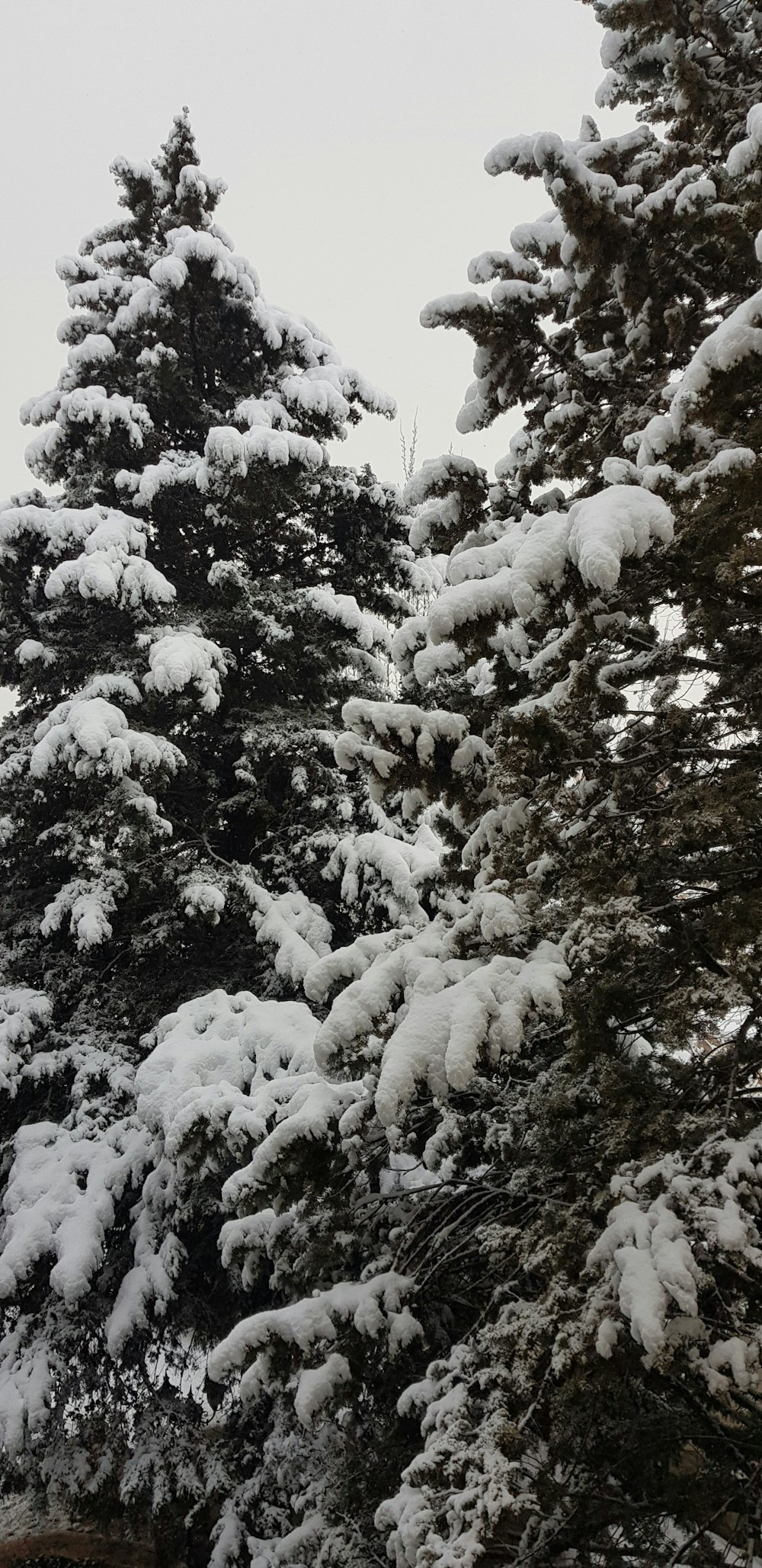 a snowboarder is going down a snowy hill