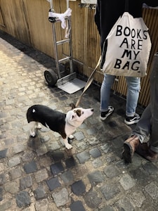 Derantys stiliai kartu