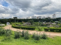 A lush green park with dense trees and bushes, intersected by a dirt path. In the background, a line of tall apartment buildings is visible under a cloudy sky, creating a contrast between nature and urban life. Some sparse human-made structures like a small white building and metal frames for covered seating areas can be seen within the greenery.