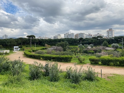 A lush green park with dense trees and bushes, intersected by a dirt path. In the background, a line of tall apartment buildings is visible under a cloudy sky, creating a contrast between nature and urban life. Some sparse human-made structures like a small white building and metal frames for covered seating areas can be seen within the greenery.