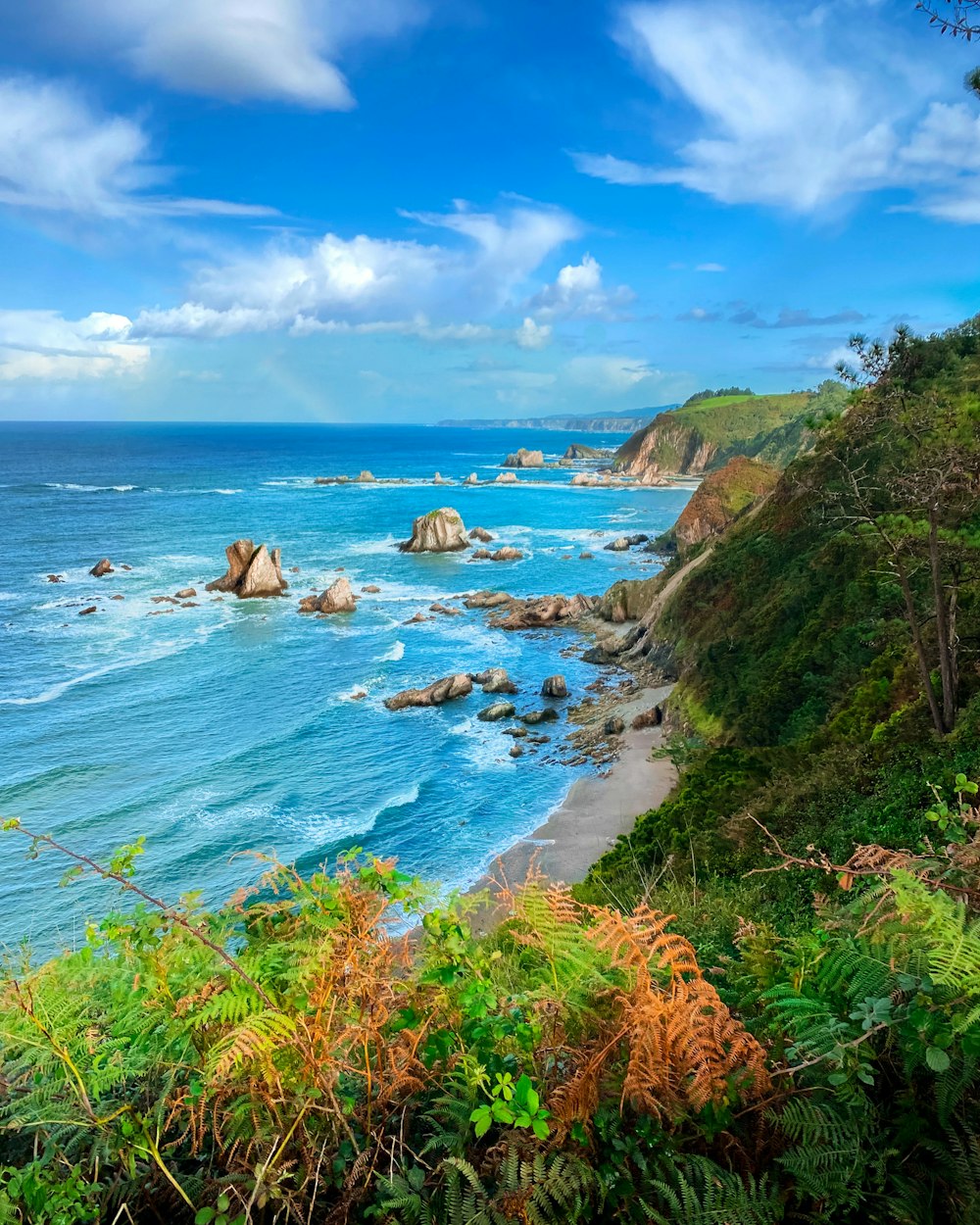 a view of the ocean from a cliff