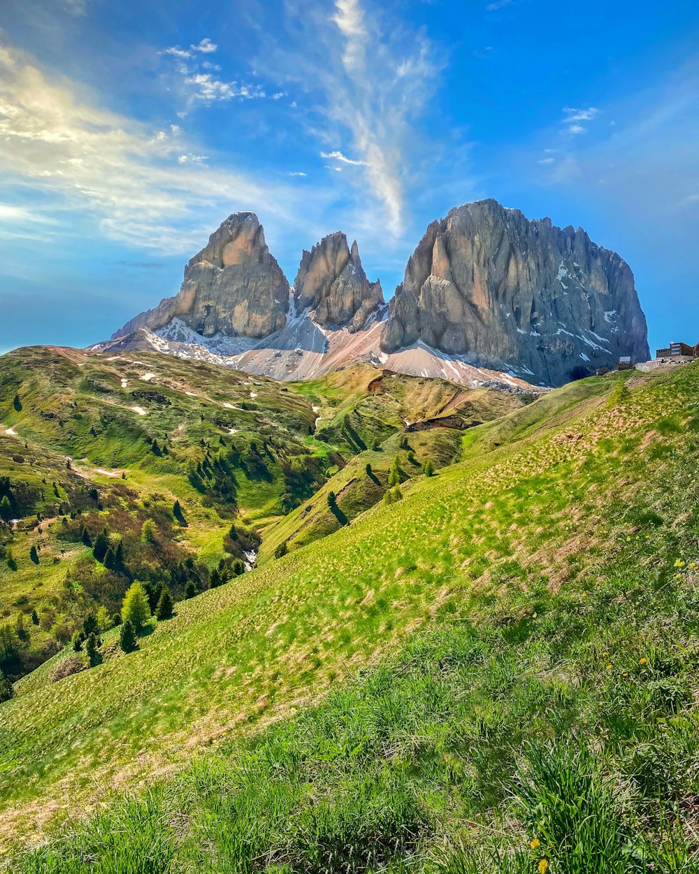 a grassy field with mountains in the background