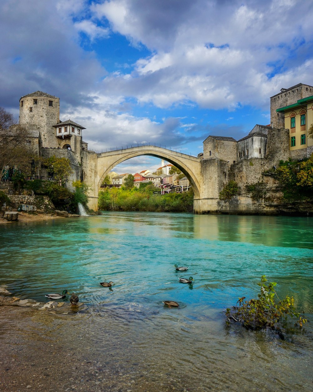 a bridge over a river with ducks swimming under it