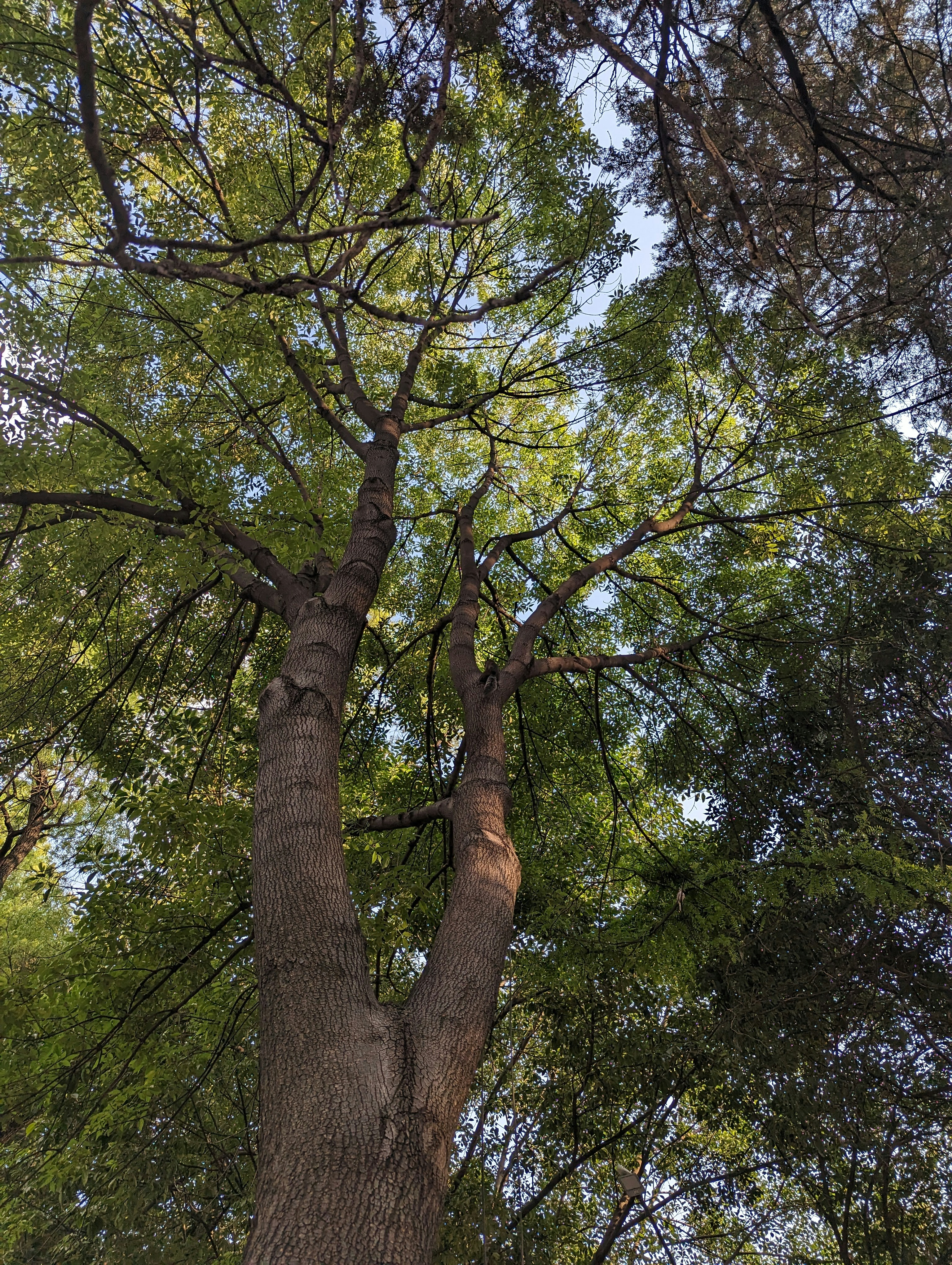 Photo by adinrenteria