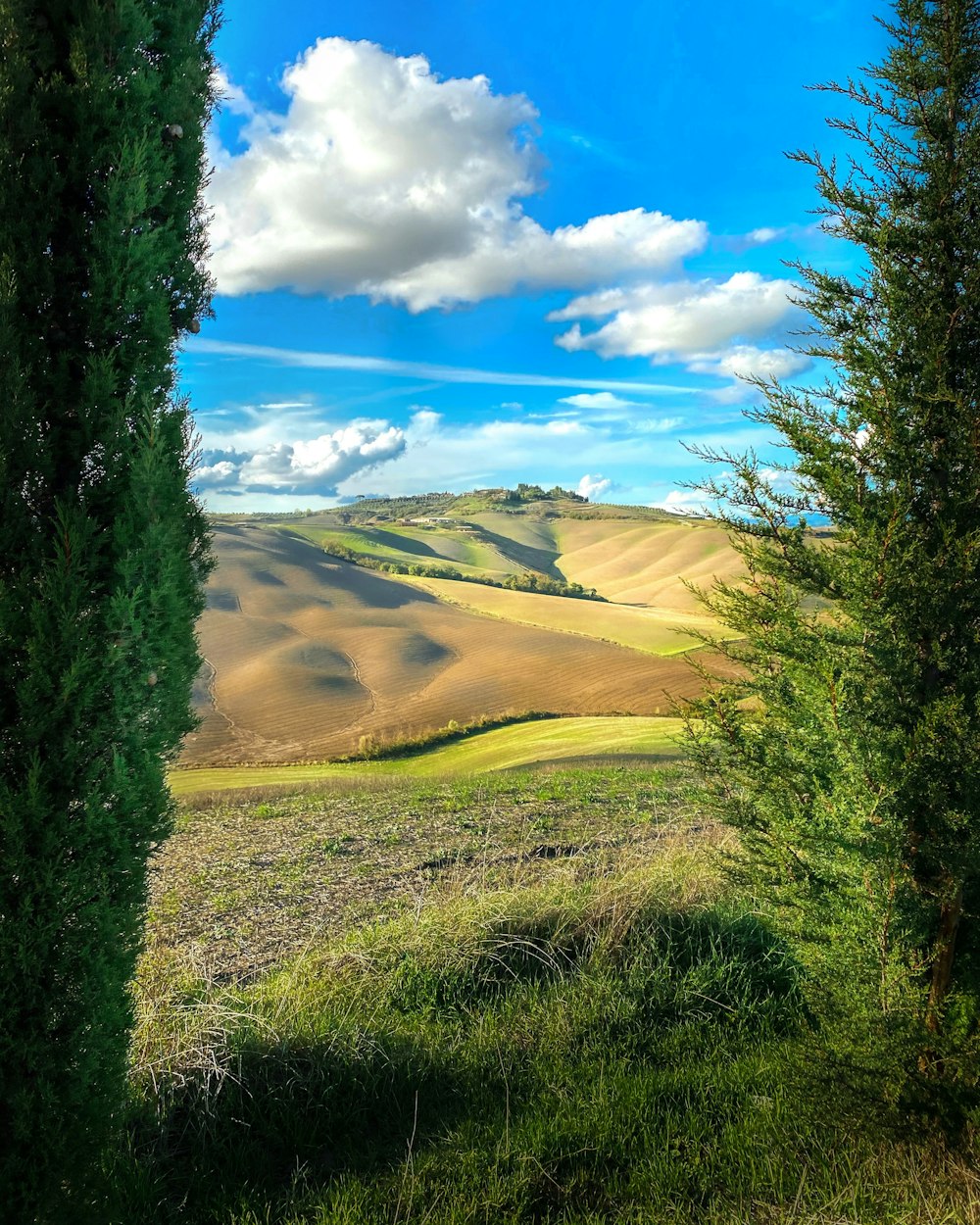 a view of the rolling hills and trees from a distance