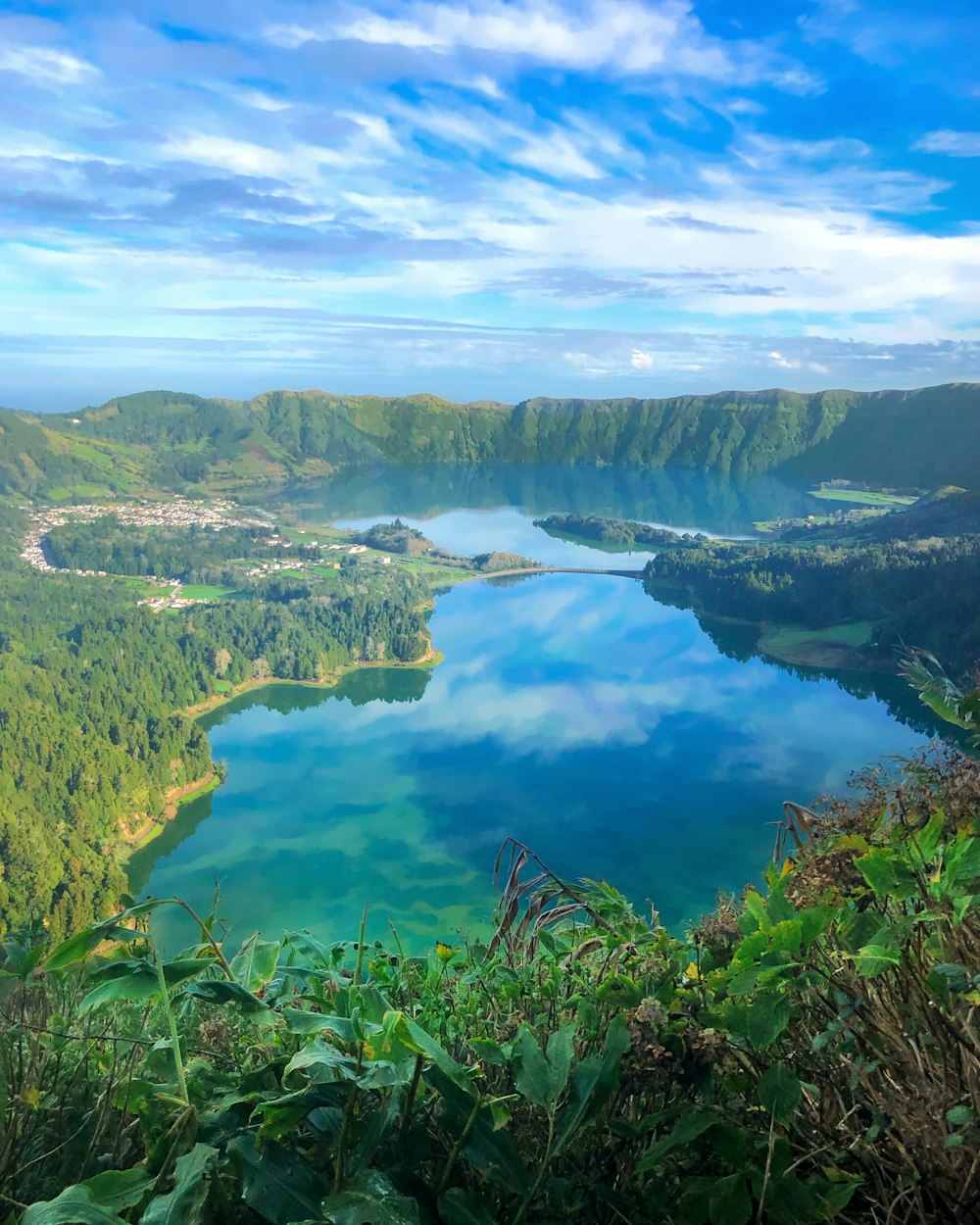 a large body of water surrounded by lush green trees