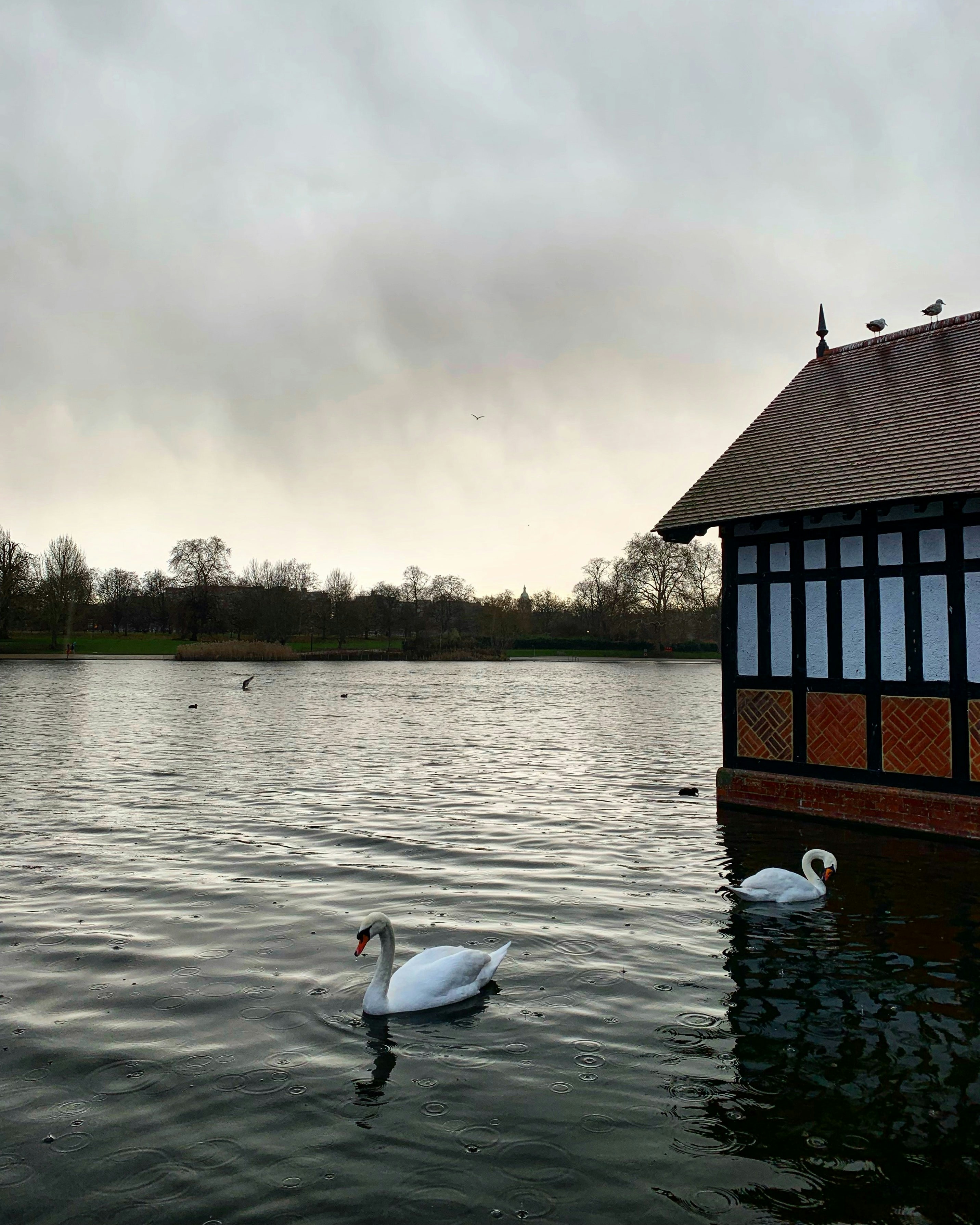 Swan House photo 2