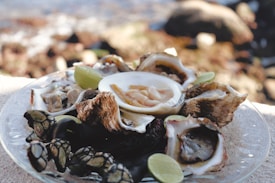 A glass plate holds a variety of seafood, including oysters and other shellfish, garnished with lime wedges. The setting appears to be outdoors with a blurred natural background, suggestive of a beach or seaside location.
