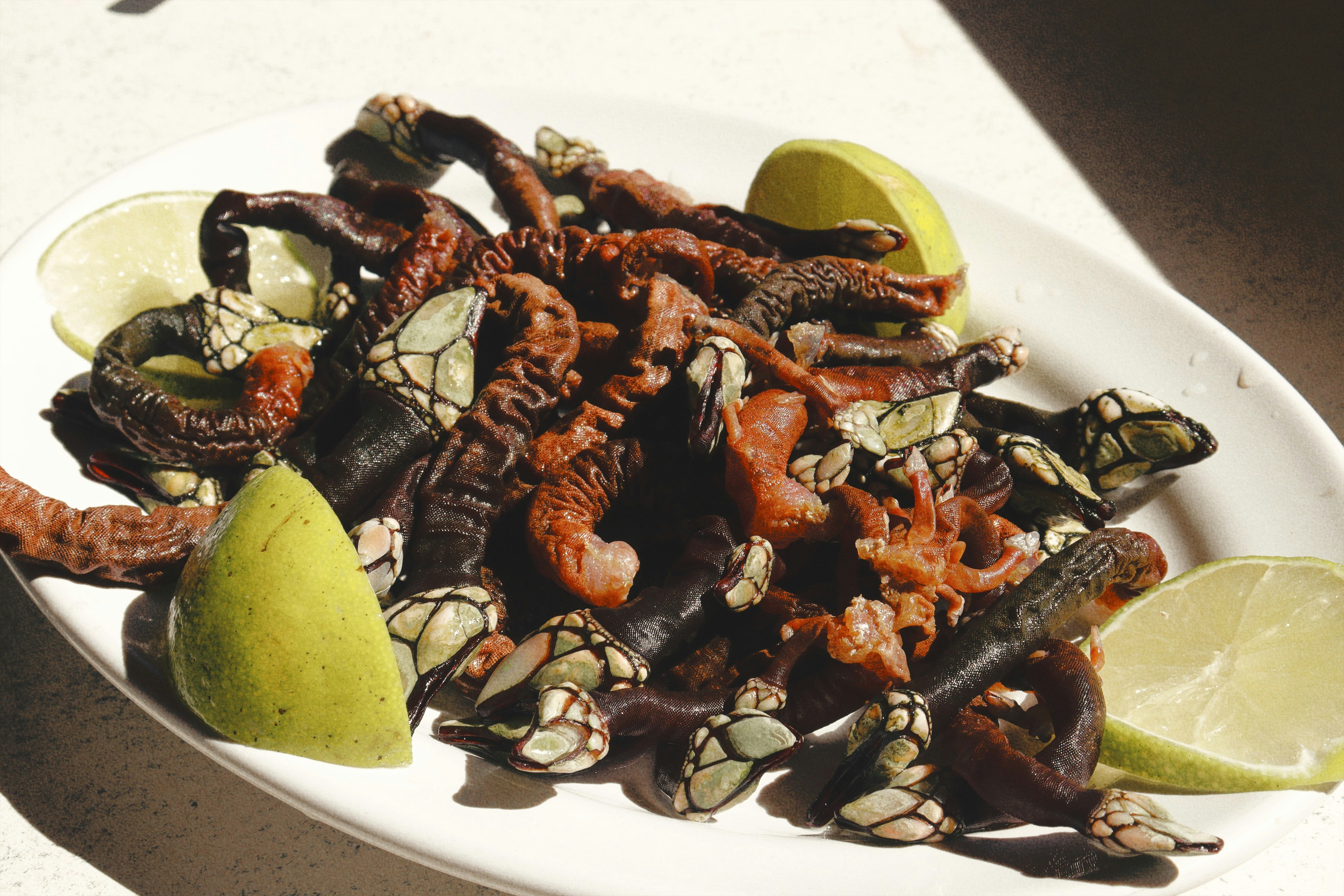 un piatto bianco sormontato da frutta e noci