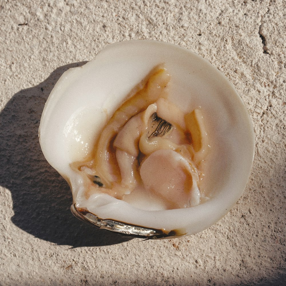 Una concha de ostra abierta en una playa de arena