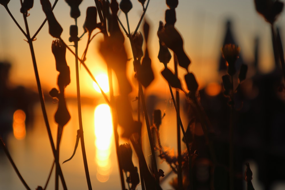 the sun is setting over a body of water