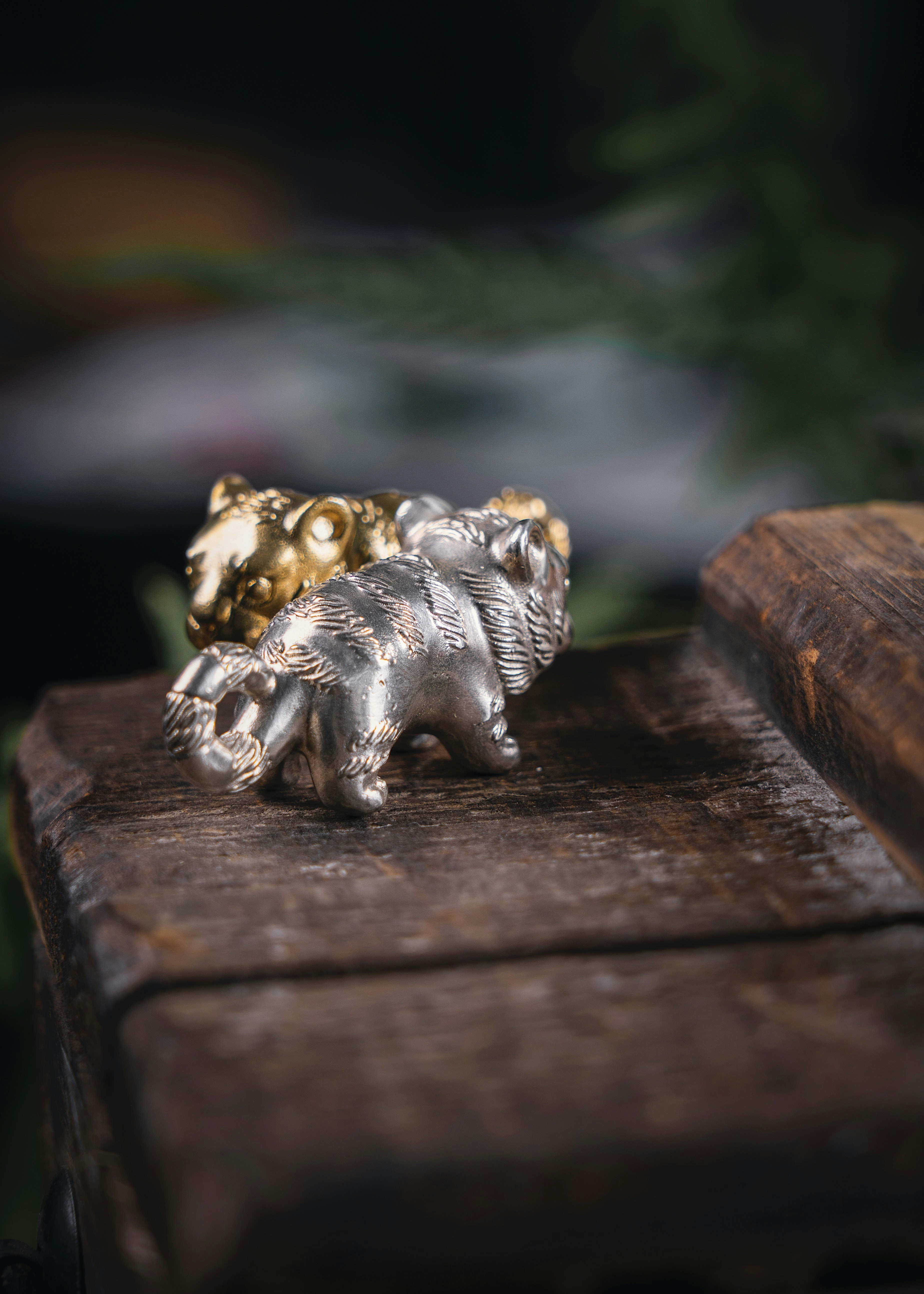 Photo by coppertistwu