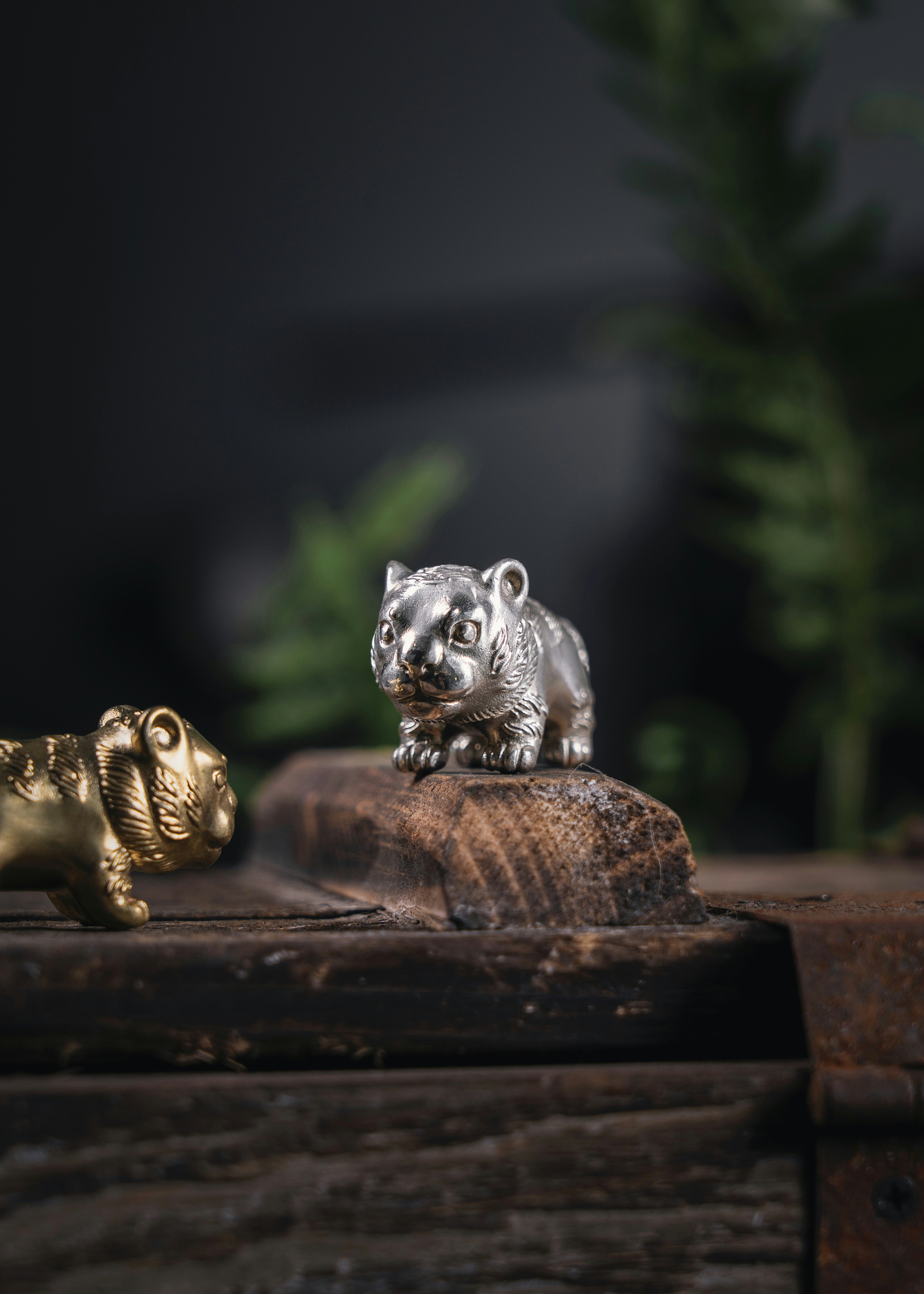 Photo by coppertistwu