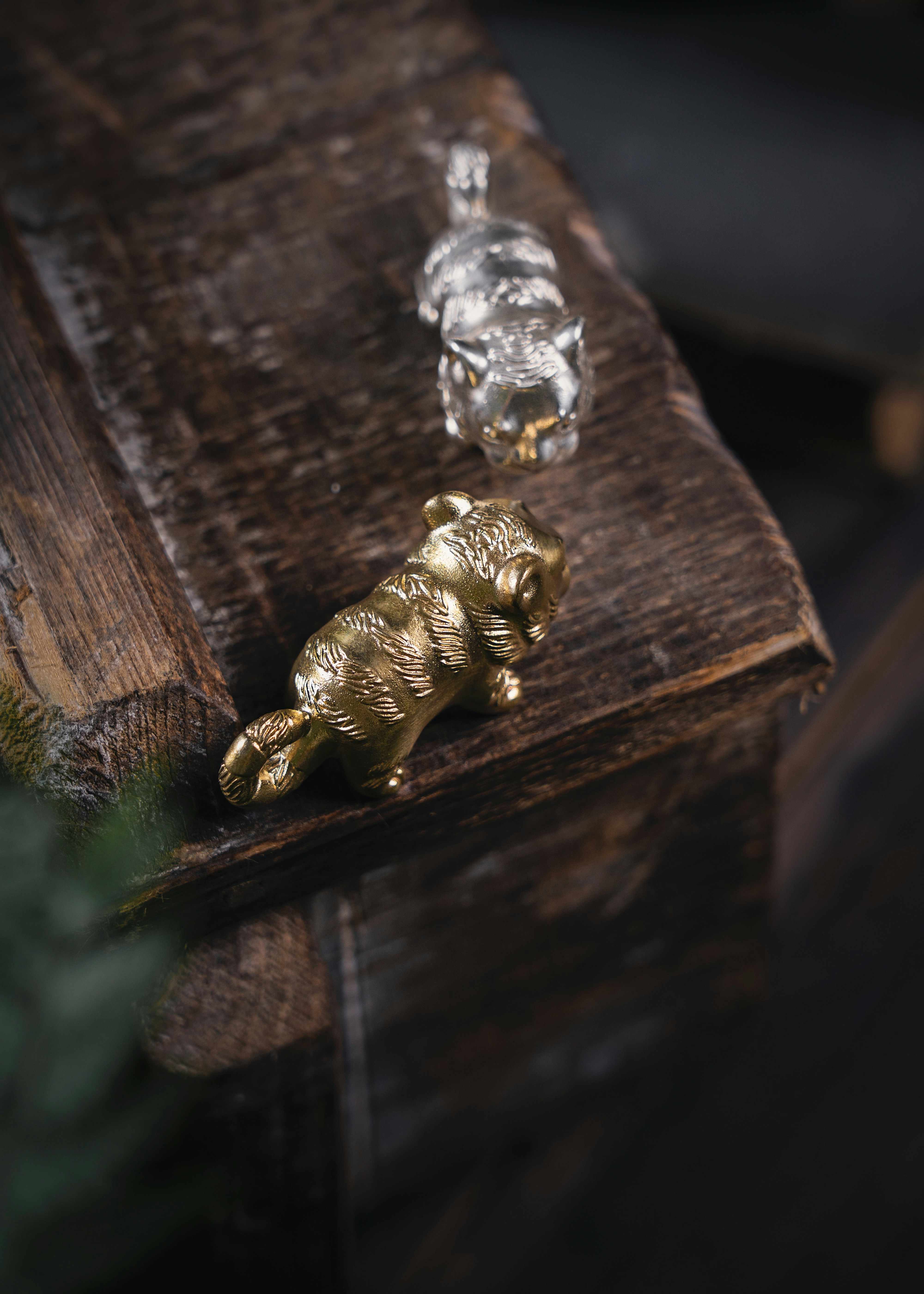 Photo by coppertistwu