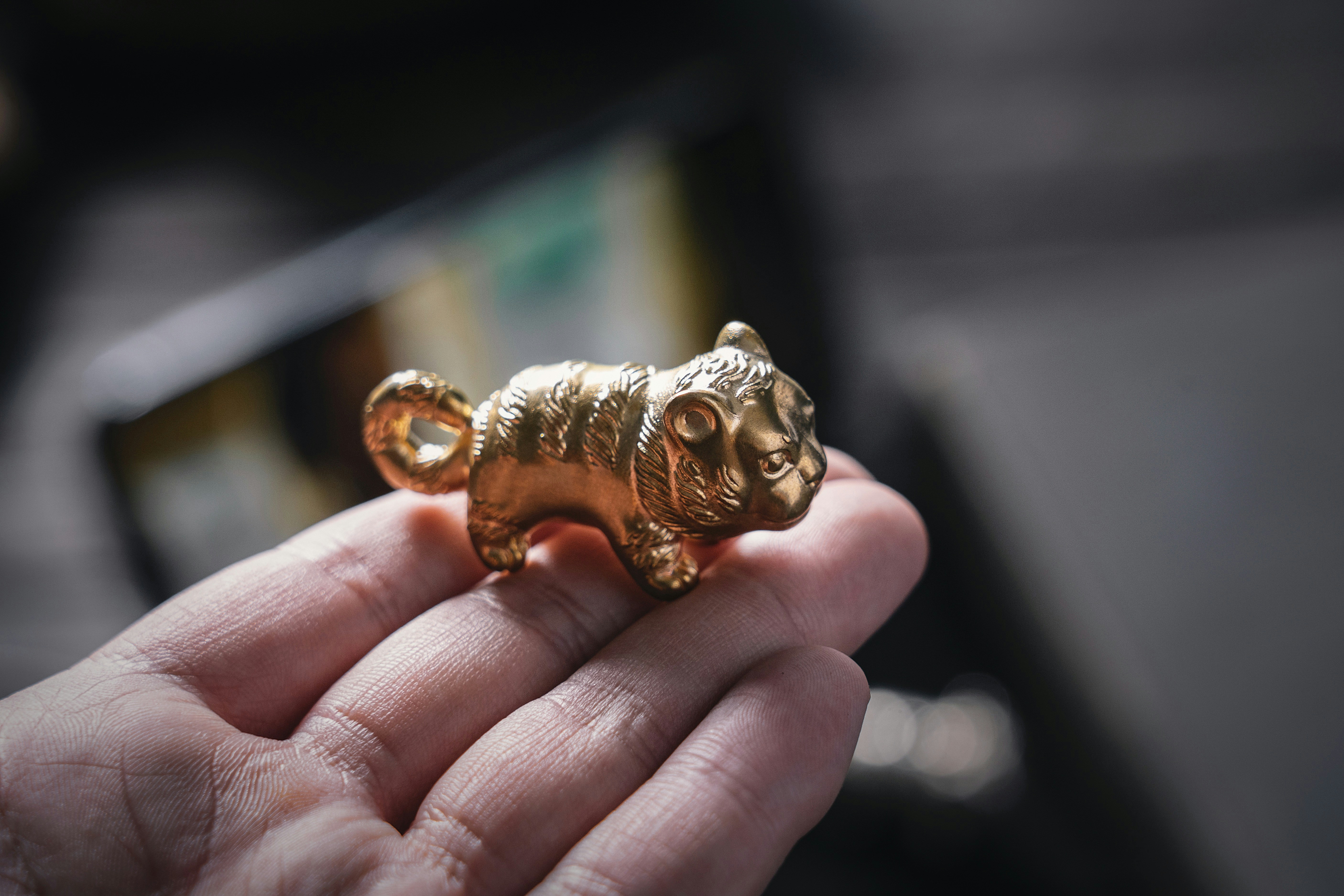 Photo by coppertistwu