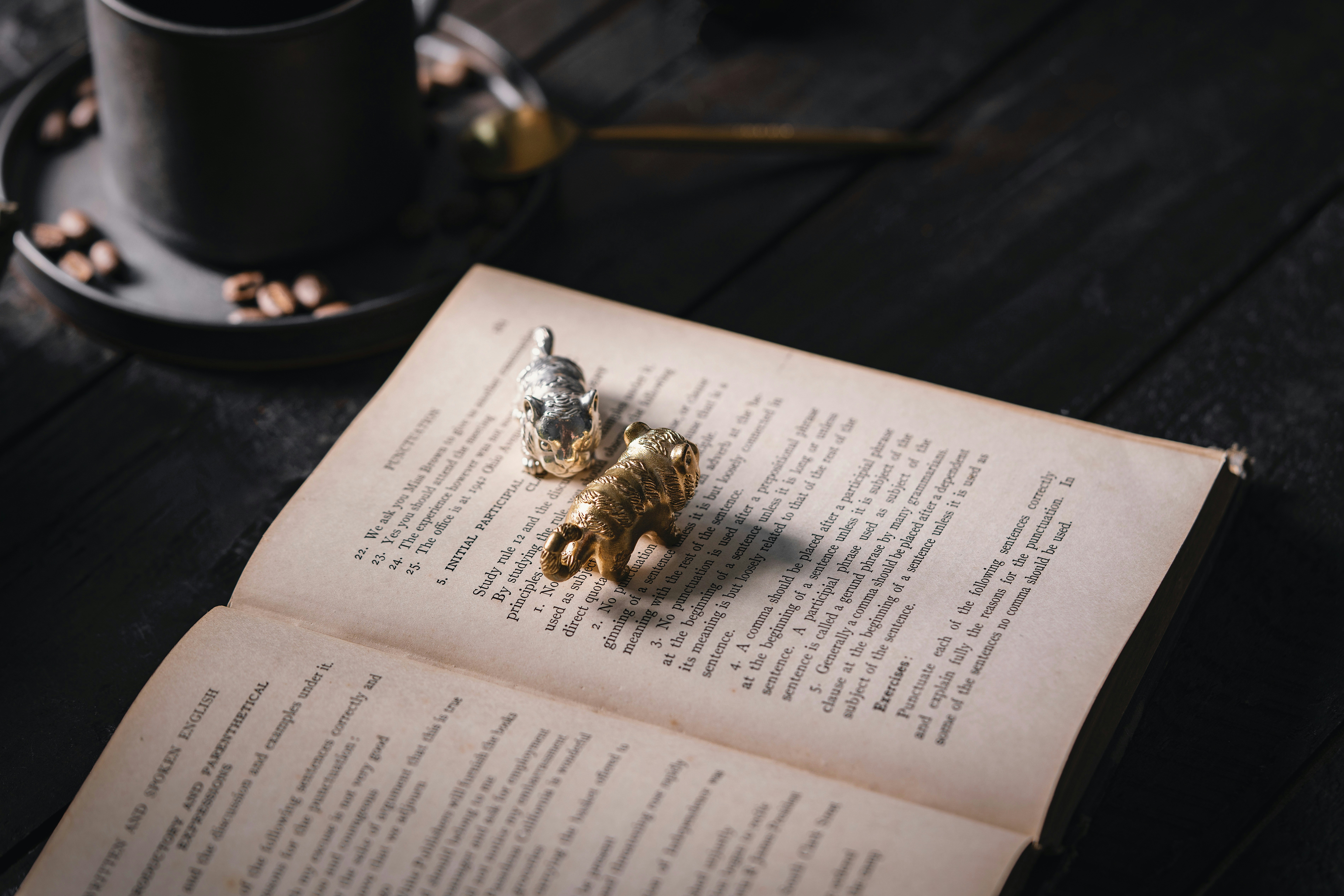 Photo by coppertistwu