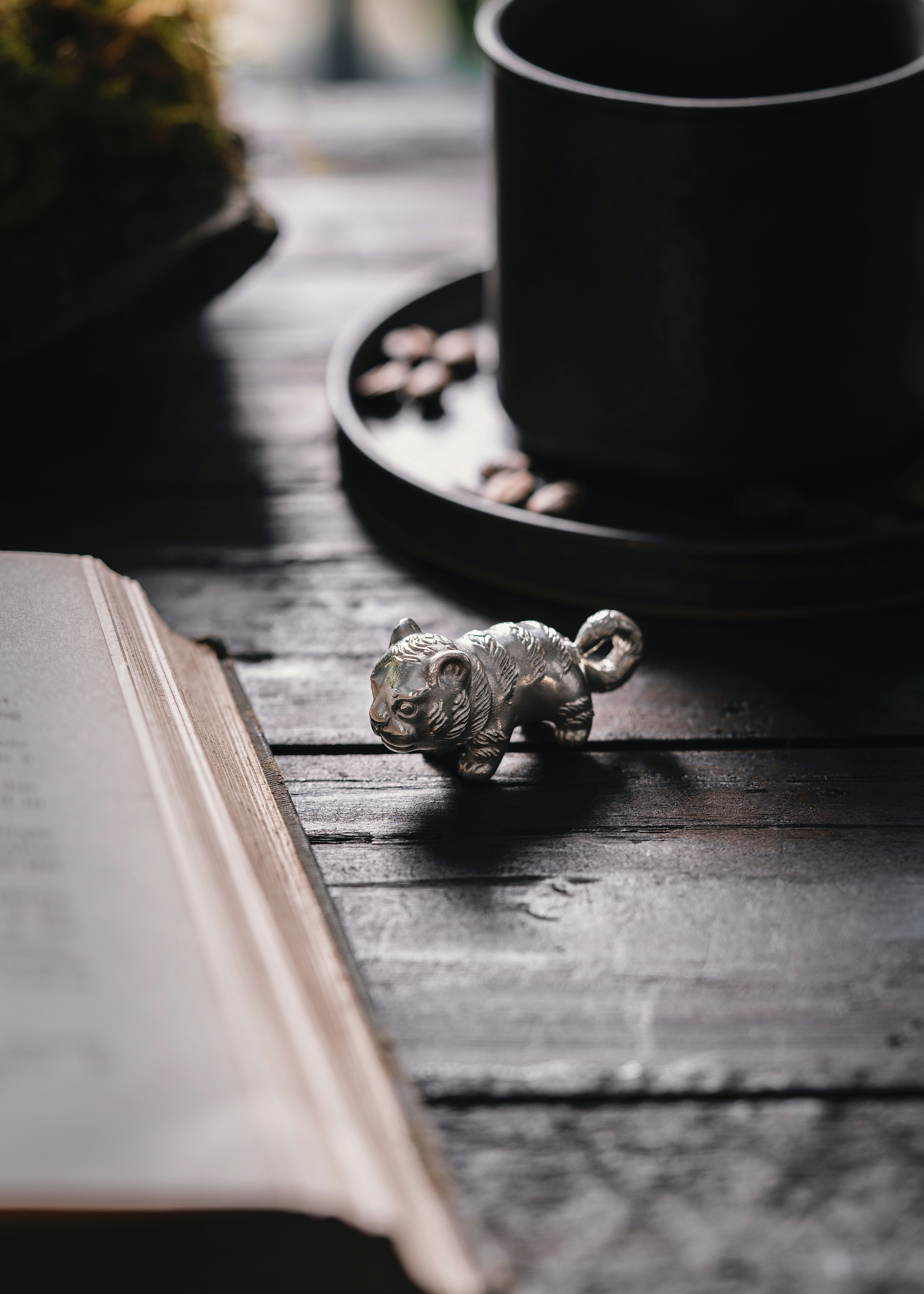 Photo by coppertistwu