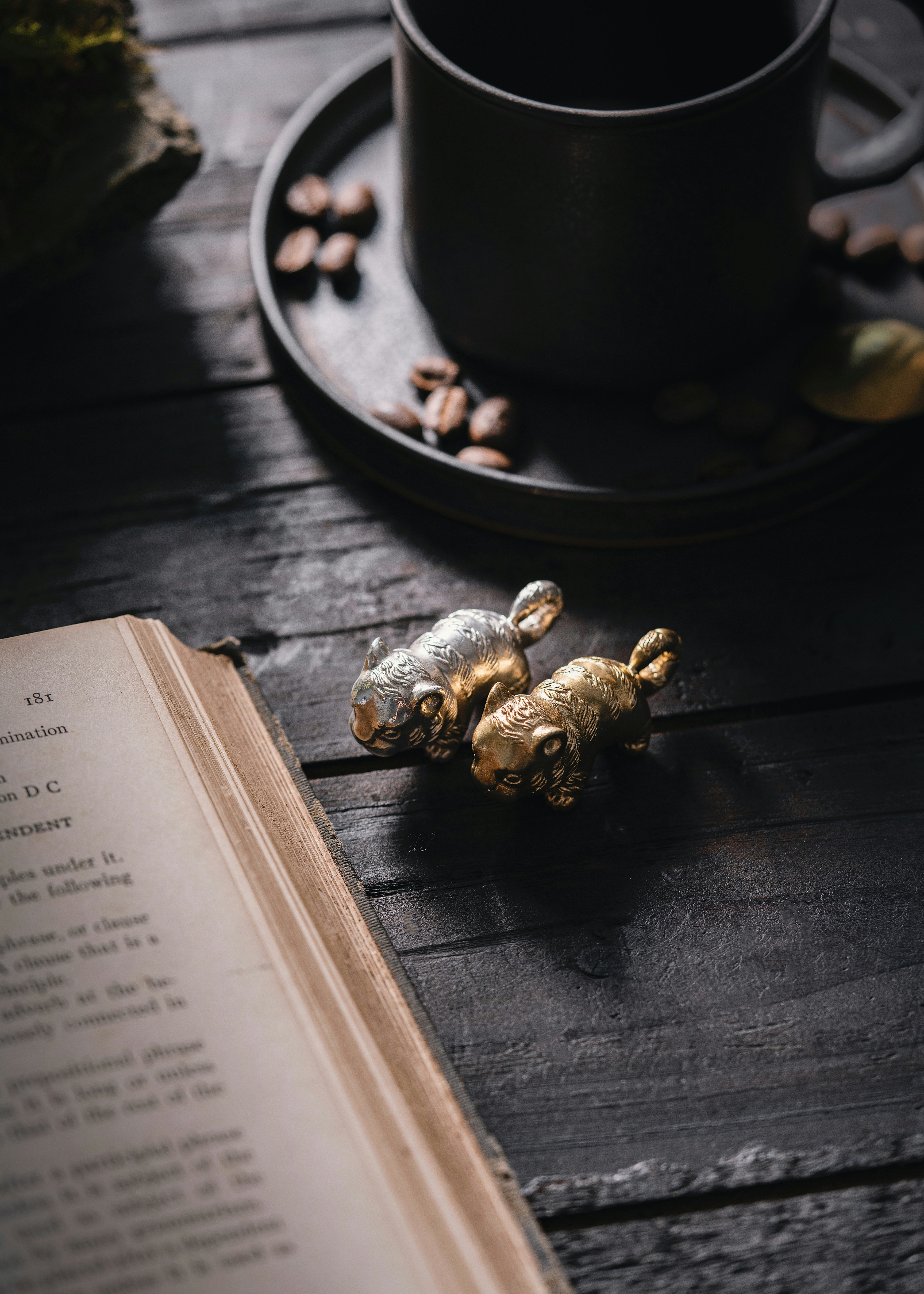 Photo by coppertistwu