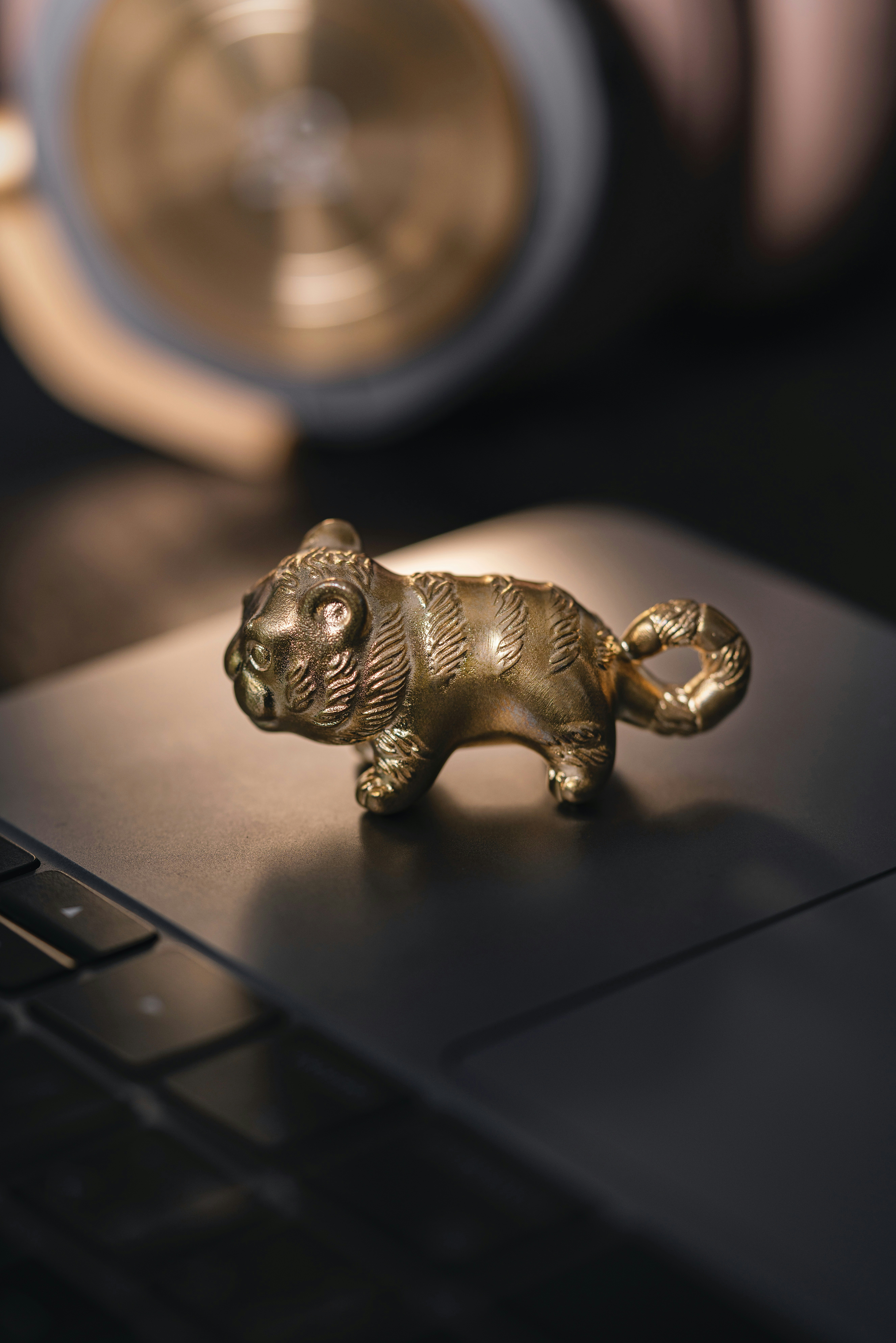 Photo by coppertistwu