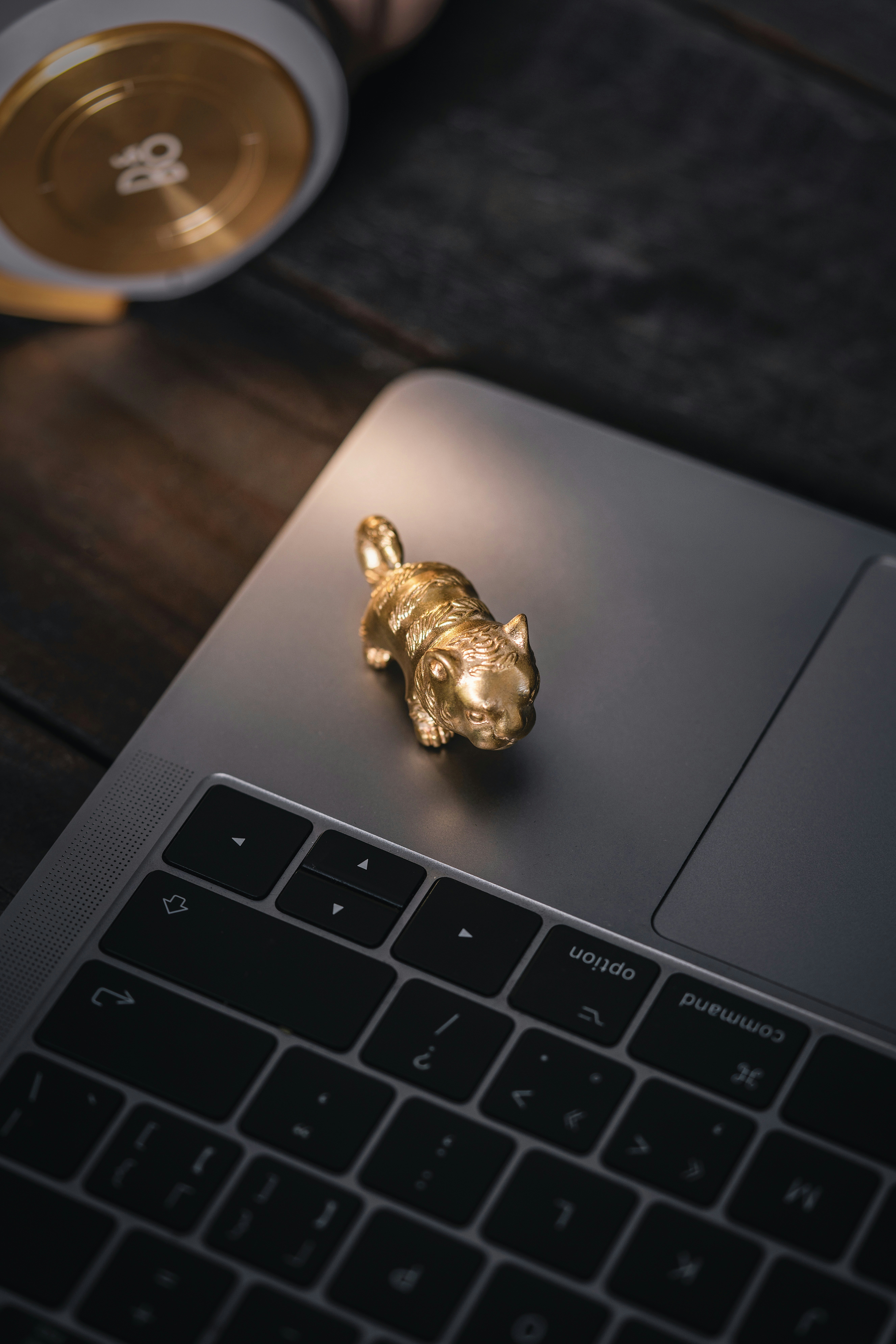 Photo by coppertistwu