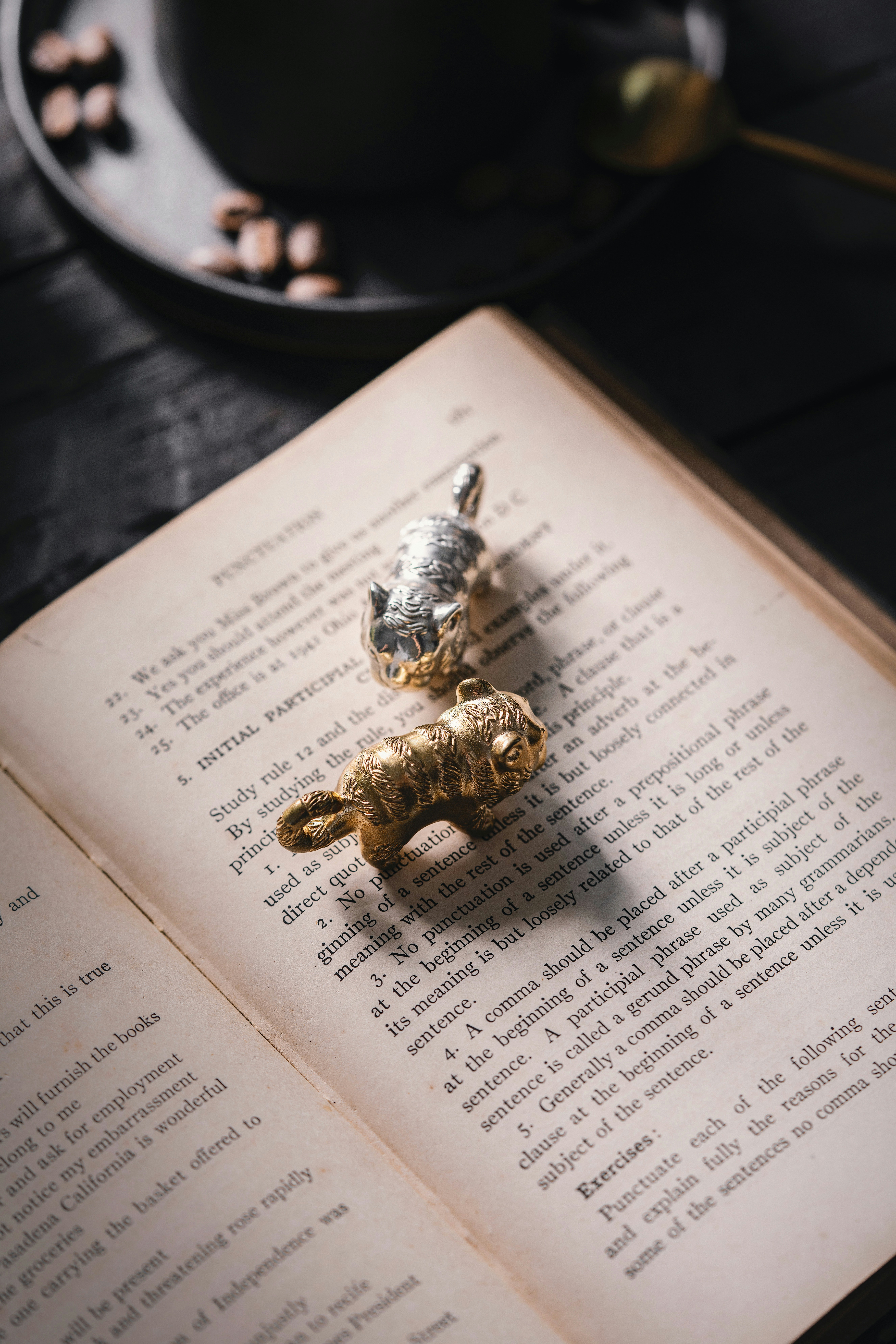 Photo by coppertistwu